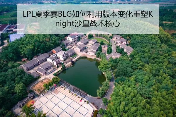 LPL夏季赛BLG如何利用版本变化重塑Knight沙皇战术核心