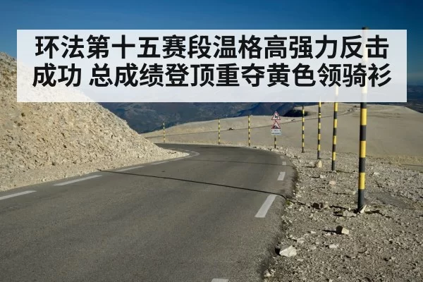 环法第十五赛段温格高强力反击成功 总成绩登顶重夺黄色领骑衫